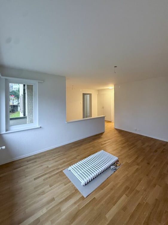 helle 1.5 Zimmer-Wohnung im Osten von St. Gallen 3