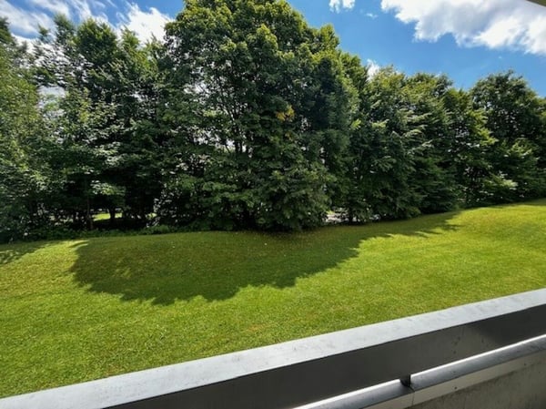 Aperçu de l'image de l'immobilier