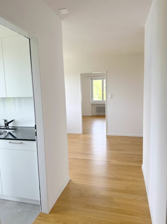 Renovierte 1.5-Zimmerwohnung mit Sitzplatz 8