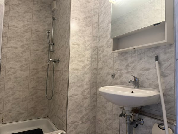 Gemütliches 1-Zimmer-Studio in zentraler Lage von Buchs 3