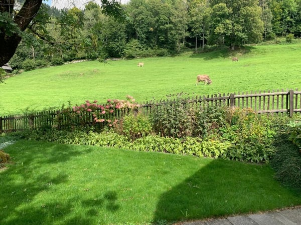 Einfamilienhaus im Grünen mit Top Aussicht und Umschwung 14