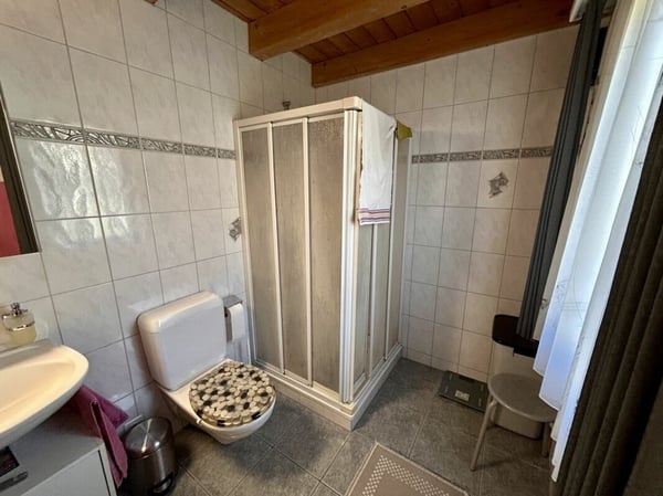 1.5-Zi-Haus mit Umschwung und Bachanstoss 7