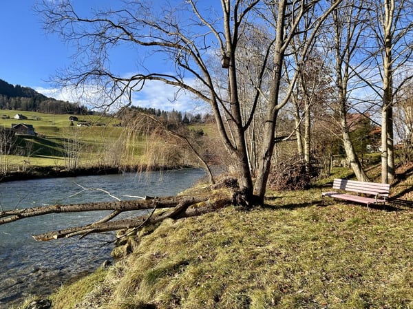 1.5-Zi-Haus mit Umschwung und Bachanstoss 13