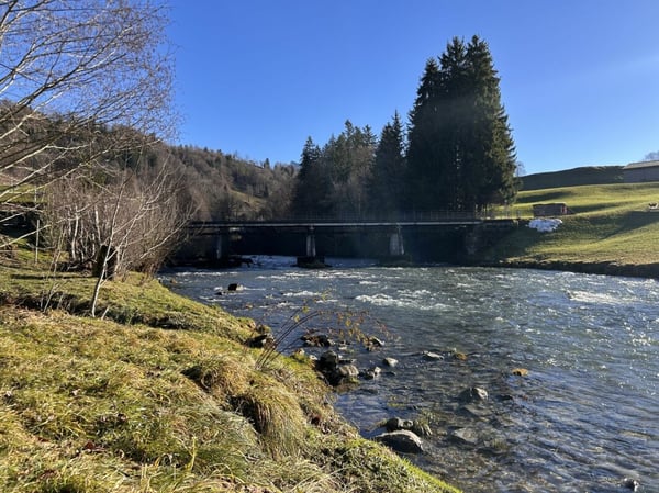 1.5-Zi-Haus mit Umschwung und Bachanstoss 14