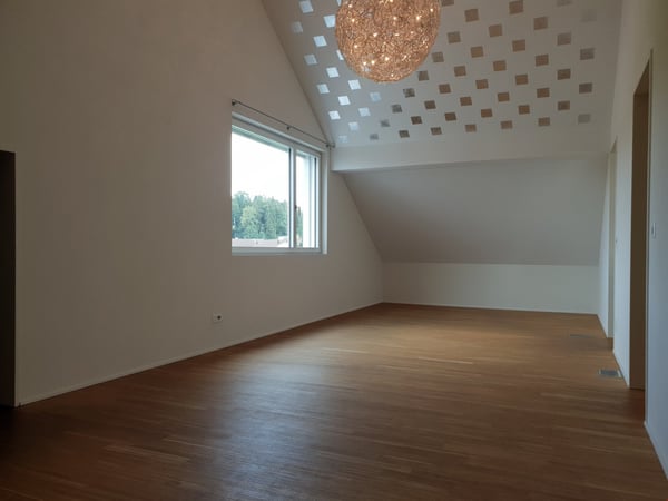 Wohntraum auf 200m2 / 1.5 Zi-Attika-Wohnung mit grosser Terrasse 13