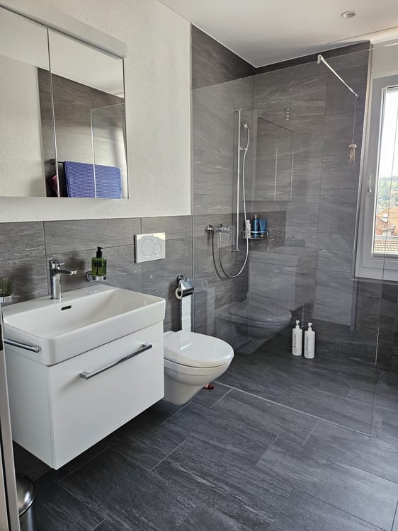 Moderne 1.5-Zimmer-Attikawohnung 18m2 mit Terrasse 93m2 und Balkon 7