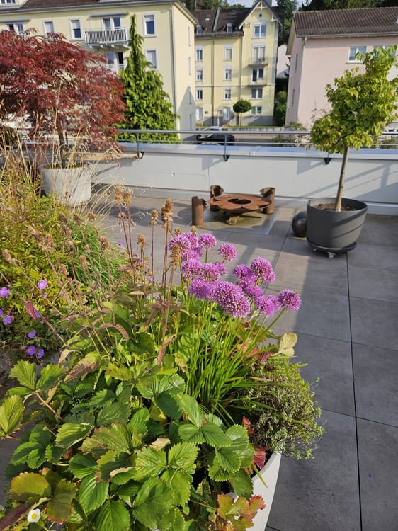 Moderne 1.5-Zimmer-Attikawohnung 18m2 mit Terrasse 93m2 und Balkon 13