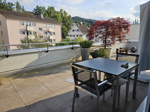 Moderne 1.5-Zimmer-Attikawohnung 18m2 mit Terrasse 93m2 und Balkon 11