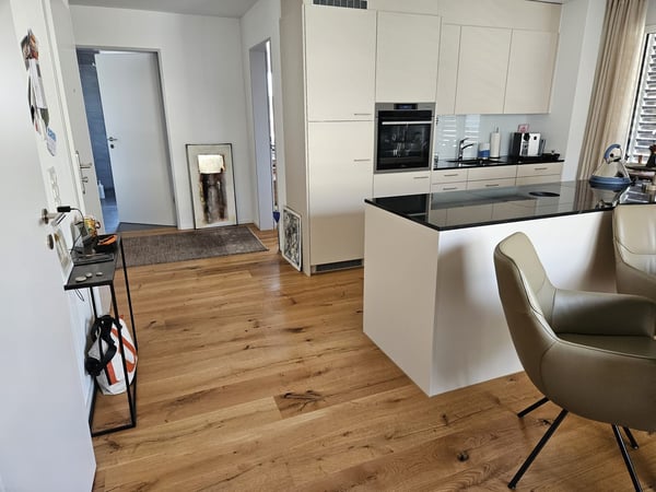 Moderne 1.5-Zimmer-Attikawohnung 18m2 mit Terrasse 93m2 und Balkon 3