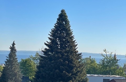 5.5-Zimmer-Attikawohnung mit grosser Terrasse zu vermieten - MFH Lotty 3