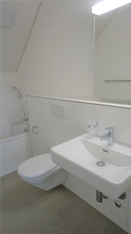 3.5 Zimmer-Dachwohnung 4.OG mit Balkon 6