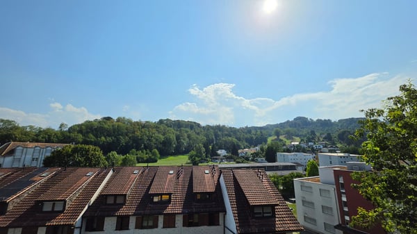 Charmante 2.5-Zimmer-Dachwohnung im Altbau an der Rosenstrasse, St. Margrethen 8