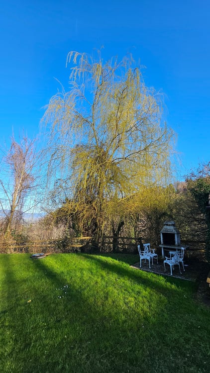 3.5 Zimmer-Wohnung 1.OG Ost mit Seesicht und grosser Terrasse 9