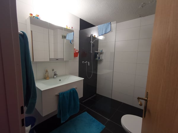 Charmante 3.5-Zimmer-Wohnung mit Balkon und Kamin in Widnau 11