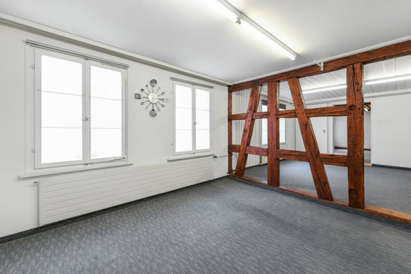 Einzigartige Liegenschaft mit Potenzial - vielfältige Möglichkeiten! 13