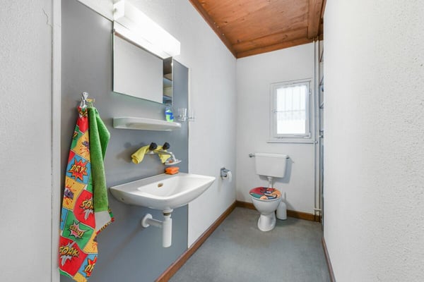 Einzigartige Liegenschaft mit Potenzial - vielfältige Möglichkeiten! 9