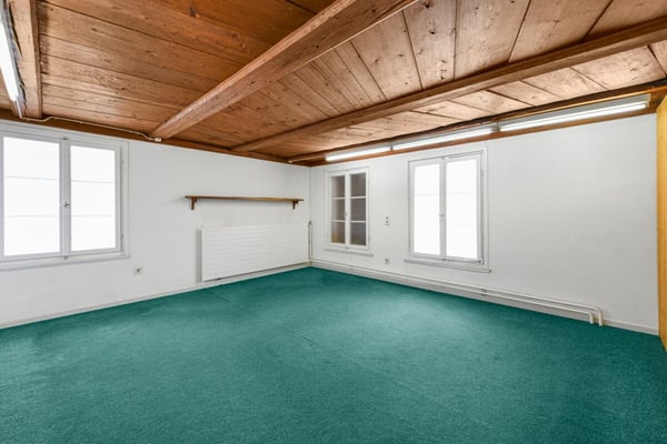 Einzigartige Liegenschaft mit Potenzial - vielfältige Möglichkeiten! 10