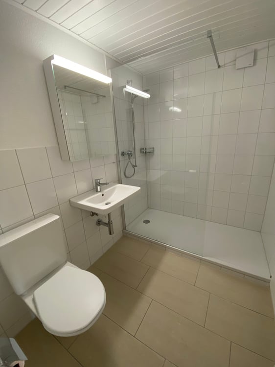 *Frisch renovierte 2.5-Zimmerwohnung im Dachgeschoss* 5