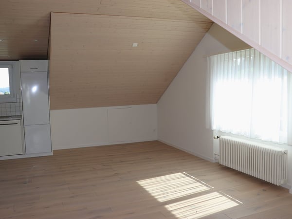 originelle 3.5 Zi.-DACH-Wohnung mit Balkon 4