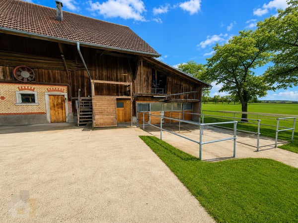 Selbstversorger Stall mit Auslauf für zwei Pferde zusammen 1