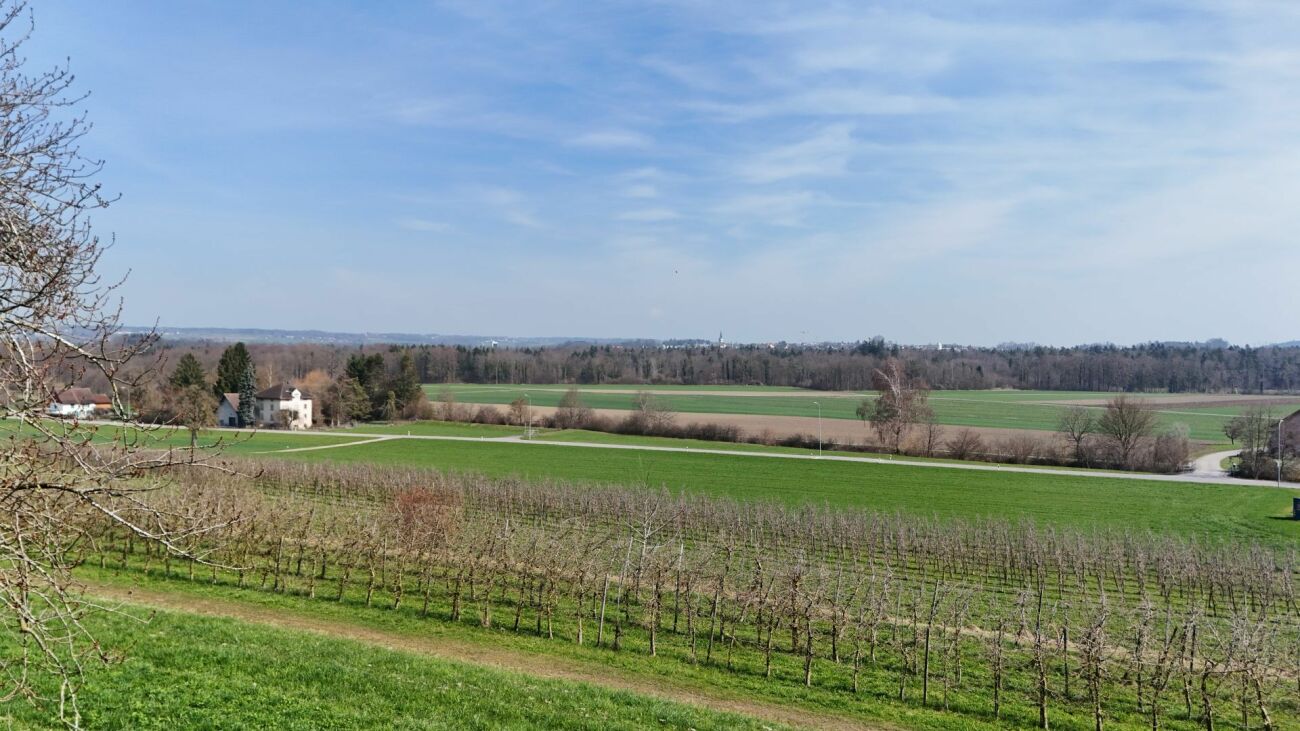 Wohntraum an bevorzugter Wohnlage