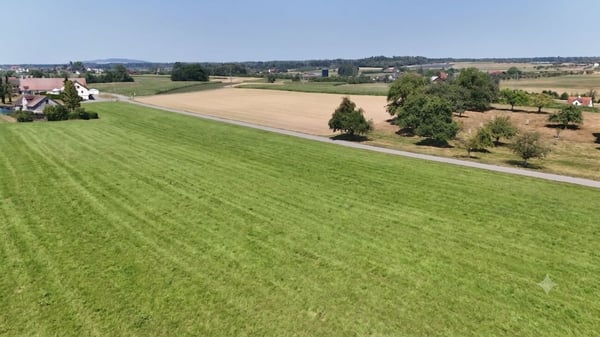 3.5-Zimmer-Gartenwohnung an ruhiger Naturlage 16