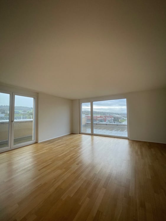 tolle Attikawohnung mit grosser Terrasse und Seeblick 2
