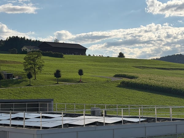 Grosszügige 5.5 Zimmer Dachwohnung mit Panoramablick und separatem Büro 3