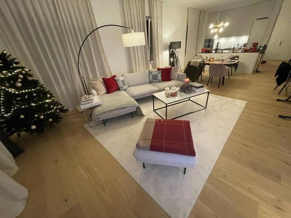 Helle und moderne Wohnung im Leuengarten 3