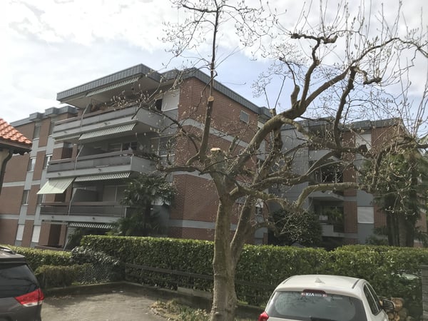 ASCONA, affittiamo spazioso 2 ½ locali 6