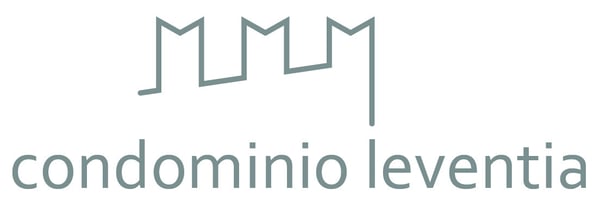 BELLINZONA CENTRO - Attico vista castelli anche residenza secondaria 10