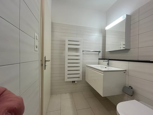 ASCONA, Affittasi monolocale ristrutturato con cucina separata 3