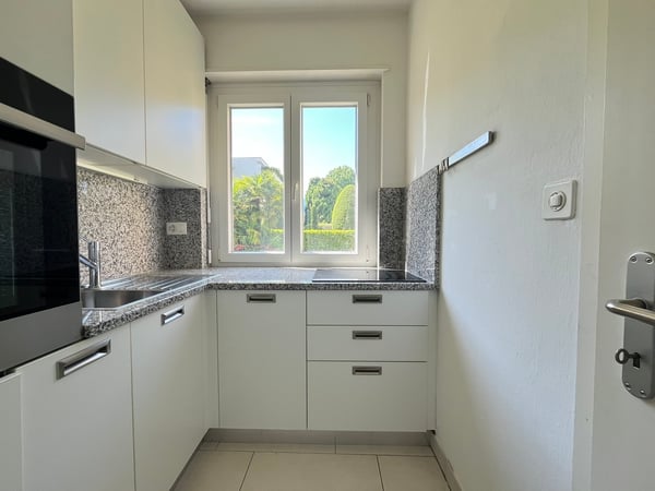 ASCONA, Affittasi monolocale ristrutturato con cucina separata 8