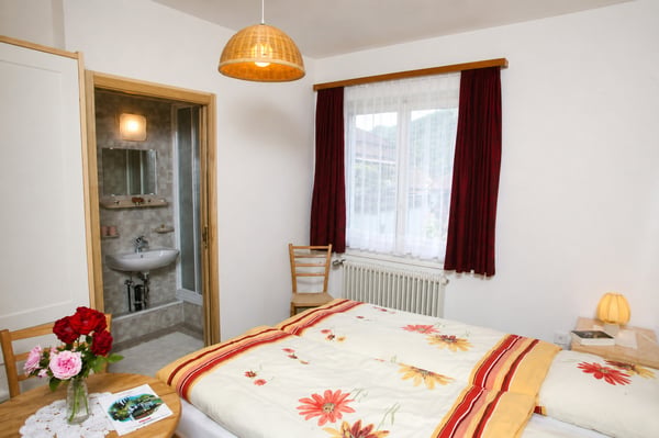 Hotel-ristorante con 9 camere, giardino e 10 posti auto 6