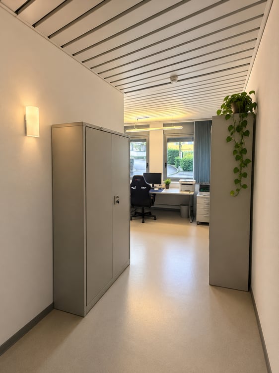 LOCARNO/MURALTO Spazio professionale di 24 m² fronte stazione 10