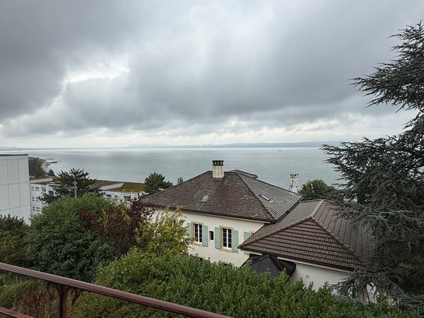 Appartement entièrement rénové avec vue imprenable sur le lac et le... 1