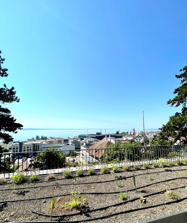 Avec vue sur le lac et les Alpes, idéalement pour les étudiants, ch... 10