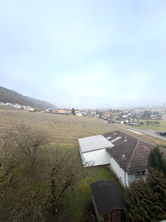 Cornaux