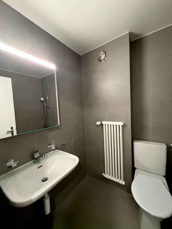 Appartement entièrement rénové avec un magnifique dégagement sur le... 9