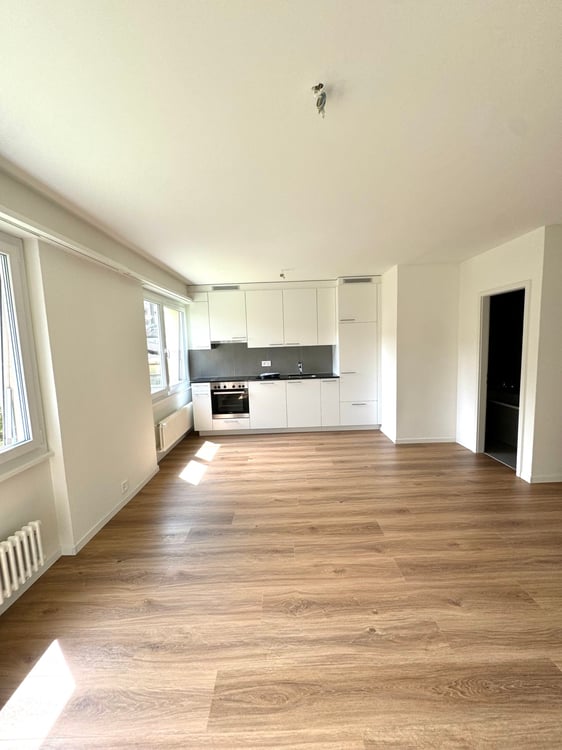 Appartement de 1.5 pièces situé au rez-de-chaussée 1