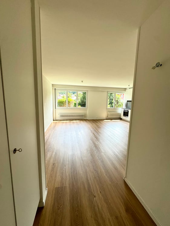 Appartement de 1.5 pièces situé au rez-de-chaussée 3