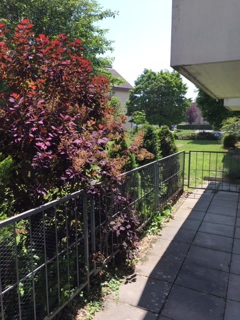 Magnifique appartement de 2.5 pièces au rez-de-chaussée avec terras... 4