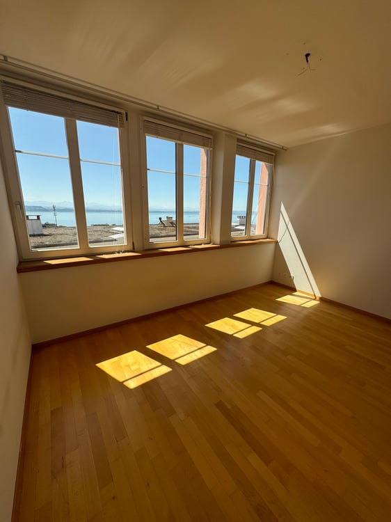 Magnifique appartement avec vue sur le lac et les Alpes, proche de ... 10