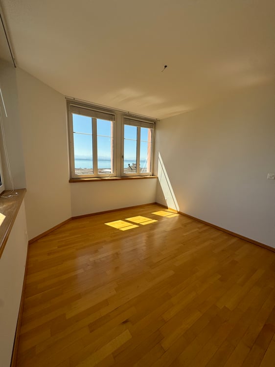 Magnifique appartement avec vue sur le lac et les Alpes, proche de ... 11