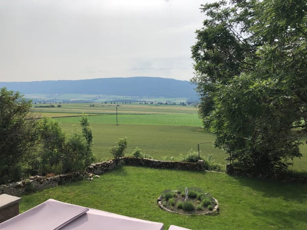 Magnifique appartement de 3.5 pièces dans un écrin de verdure 7