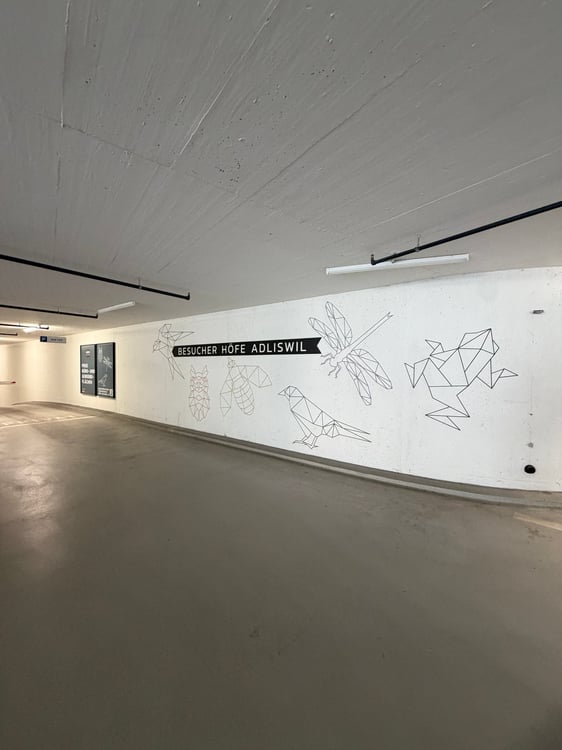 Tiefgaragenplatz in moderner Wohnanlage in Adliswil 2