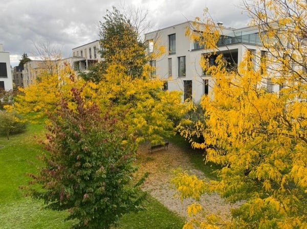 Moderne 1.5-Zimmer-Wohnung im beliebten Schönberg-Ost-Quartier 11