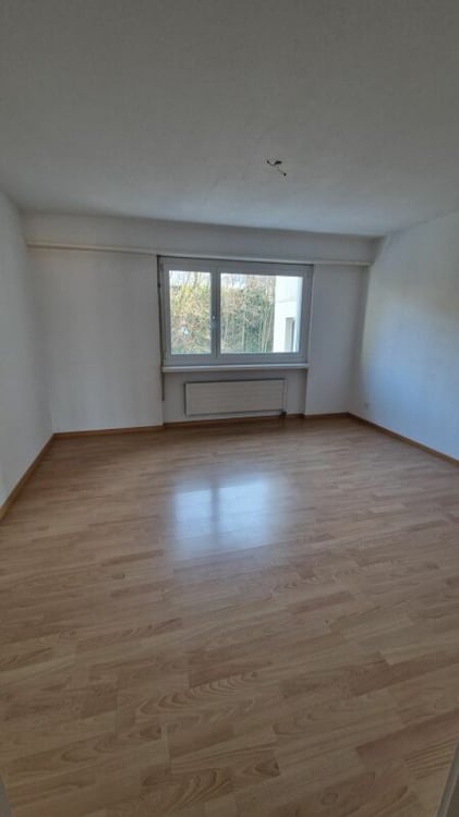 2.5 Zimmerwohnung mit Charme 5