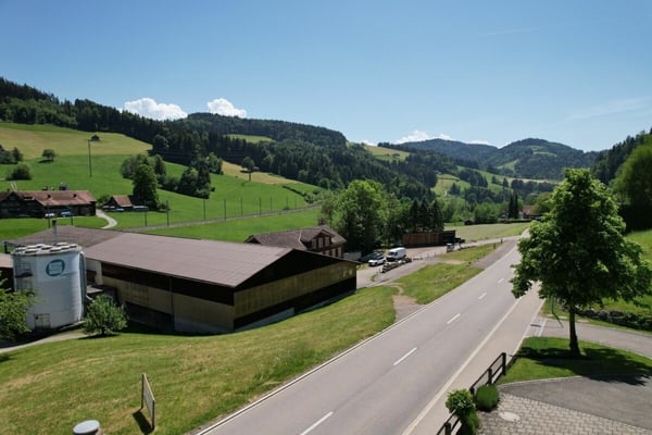 Grosszügiges Wohnen mit Wintergarten, Cheminée und beeindruckender Terrasse 8