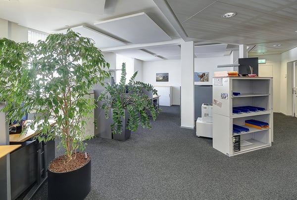 Repräsentative Retail- und Bürofläche an erstklassiger Lage 15